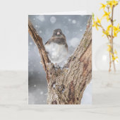 "Chilling" Junco, 5" x 7" Faltkarte Karte (Gelbe Blume)