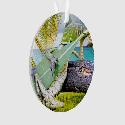 Chillin'Lizzard Ornament (Vorderseite)