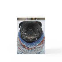 Chillout-Mops-Note-Card - leer