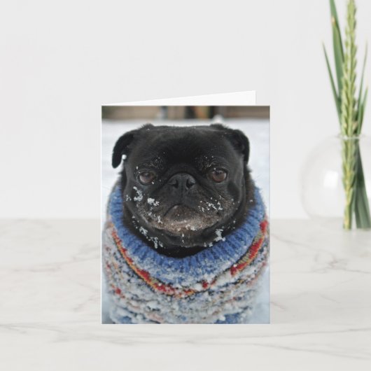 Chillout-Mops-Note-Card - leer Karte (Vorderseite)