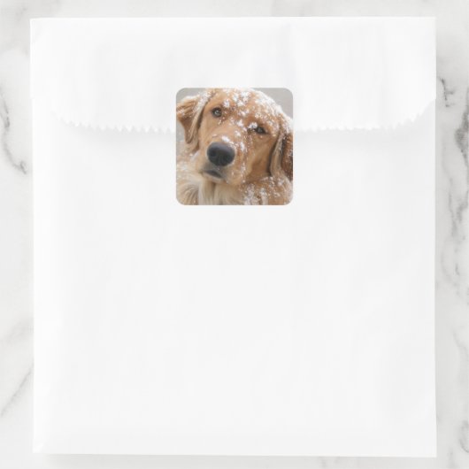 Chilly Dog Quadratischer Aufkleber (Tasche)