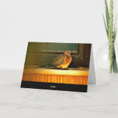 Chilly Dove Karte (Rückseite)