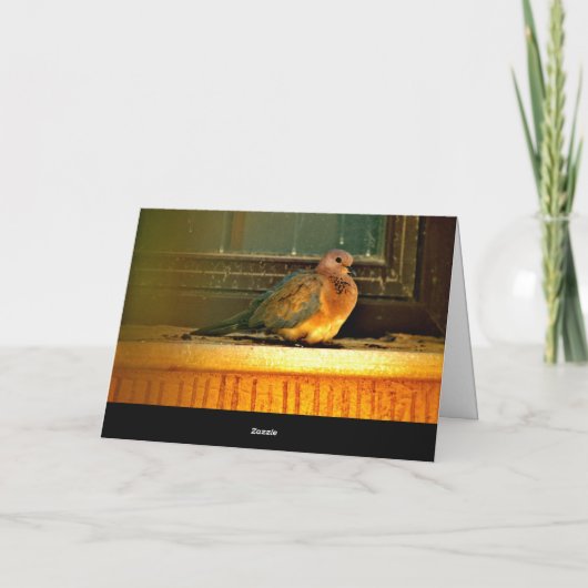 Chilly Dove Karte (Rückseite)