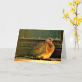 Chilly Dove Karte (Gelbe Blume)