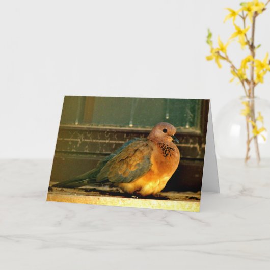 Chilly Dove Karte (Gelbe Blume)