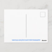 Chilly Iceberg Postkarte (Rückseite)