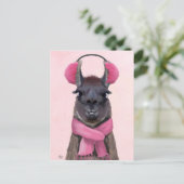 Chilly Llama Pink Postkarte (Stehend Vorderseite)