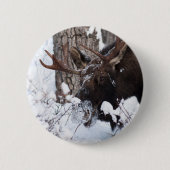 Chilly Moose Button (Vorderseite)