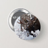 Chilly Moose Button (Vorne & Hinten)