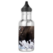 Chilly Moose Edelstahlflasche (Rechts)