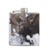 Chilly Moose Flachmann (Vorderseite)