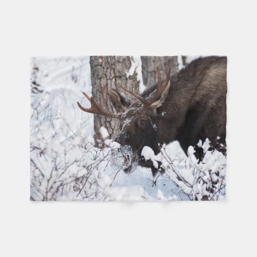 Chilly Moose Fleecedecke (Vorderseite (Horizontal))