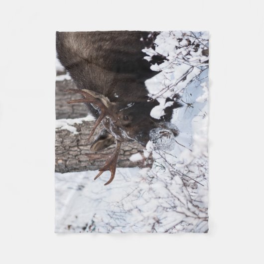 Chilly Moose Fleecedecke (Vorderseite)
