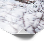 Chilly Moose Fotodruck (Ecke)