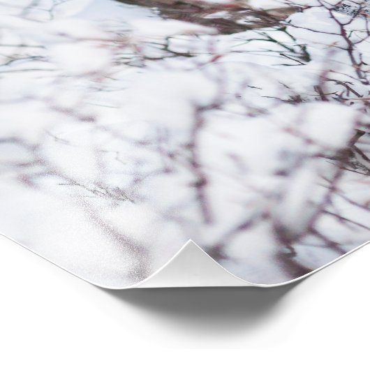 Chilly Moose Fotodruck (Ecke)