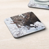 Chilly Moose Getränkeuntersetzer (Linke Seite)