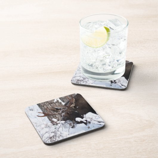 Chilly Moose Getränkeuntersetzer (Rechte Seite)