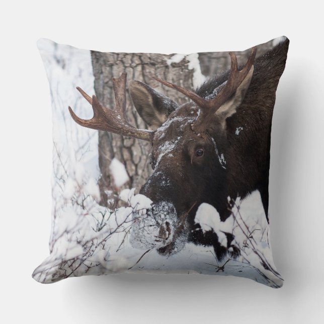 Chilly Moose Kissen (Vorderseite)