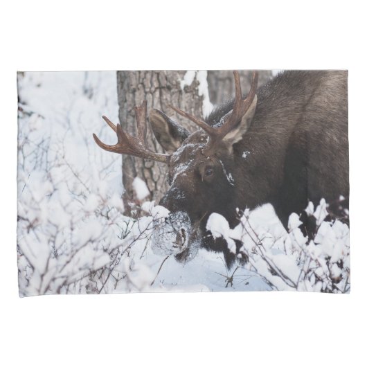 Chilly Moose Kissenbezug (Vorderseite-Rechts)