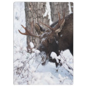 Chilly Moose Klemmbrett (Rückseite)