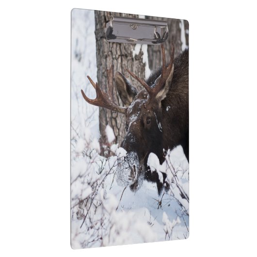 Chilly Moose Klemmbrett (Rechts)