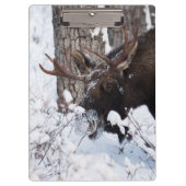 Chilly Moose Klemmbrett (Vorderseite)