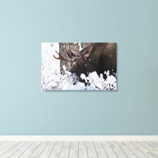Chilly Moose Leinwanddruck (Insitu (Holzboden))