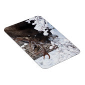 Chilly Moose Magnet (Rechte Seite)