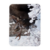 Chilly Moose Magnet (Vertikal)
