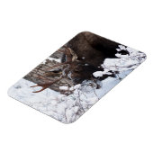 Chilly Moose Magnet (Linke Seite)