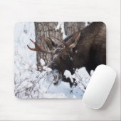 Chilly Moose Mousepad (Mit Mouse)