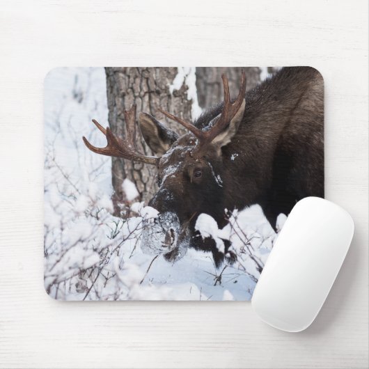 Chilly Moose Mousepad (Mit Mouse)