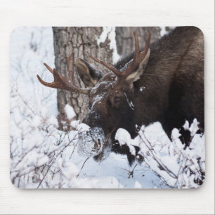 Chilly Moose Mousepad