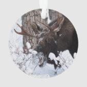 Chilly Moose Ornament (Rückseite)