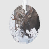 Chilly Moose Ornament (Vorderseite)