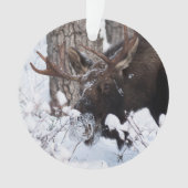 Chilly Moose Ornament (Vorderseite)