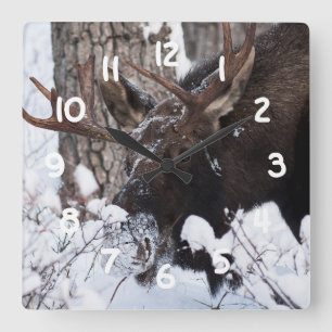 Chilly Moose Quadratische Wanduhr