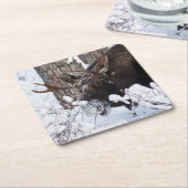 Chilly Moose Rechteckiger Pappuntersetzer (angewinkelt)