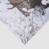 Chilly Moose Seidenpapier (Ausschnitt)