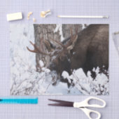 Chilly Moose Seidenpapier (Handwerk)