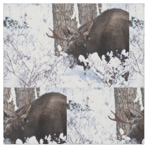 Chilly Moose Stoff