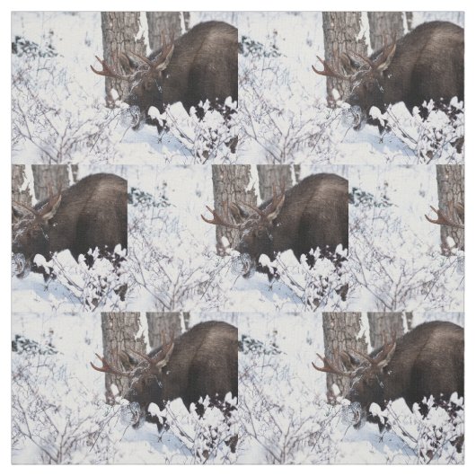 Chilly Moose Stoff (Muster)