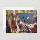 Chilly Morning Amish Horse Postkarte (Vorne/Hinten)