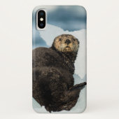 Chilly Sea Otter Case-Mate iPhone Hülle (Rückseite)