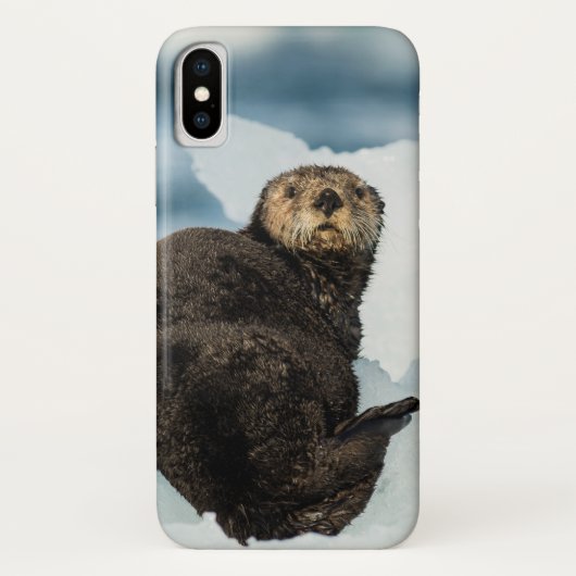 Chilly Sea Otter Case-Mate iPhone Hülle (Rückseite)