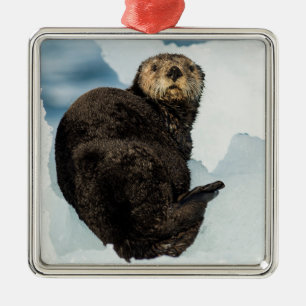 Chilly Sea Otter Ornament Aus Metall