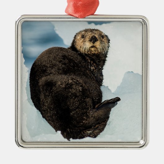 Chilly Sea Otter Ornament Aus Metall (Vorne)
