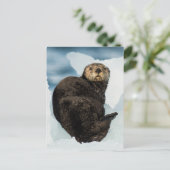 Chilly Sea Otter Postkarte (Stehend Vorderseite)