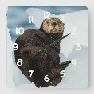 Chilly Sea Otter Quadratische Wanduhr