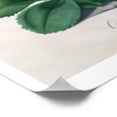 Chilton-Ruhm (gouache an Vellum) Poster (Ecke)